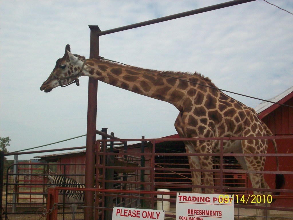 safari park near me kentucky