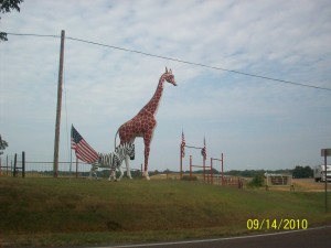 Tennessee Safari Park Entrance