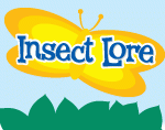 Insect Lore