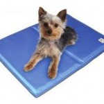 Dogs love Gel mat